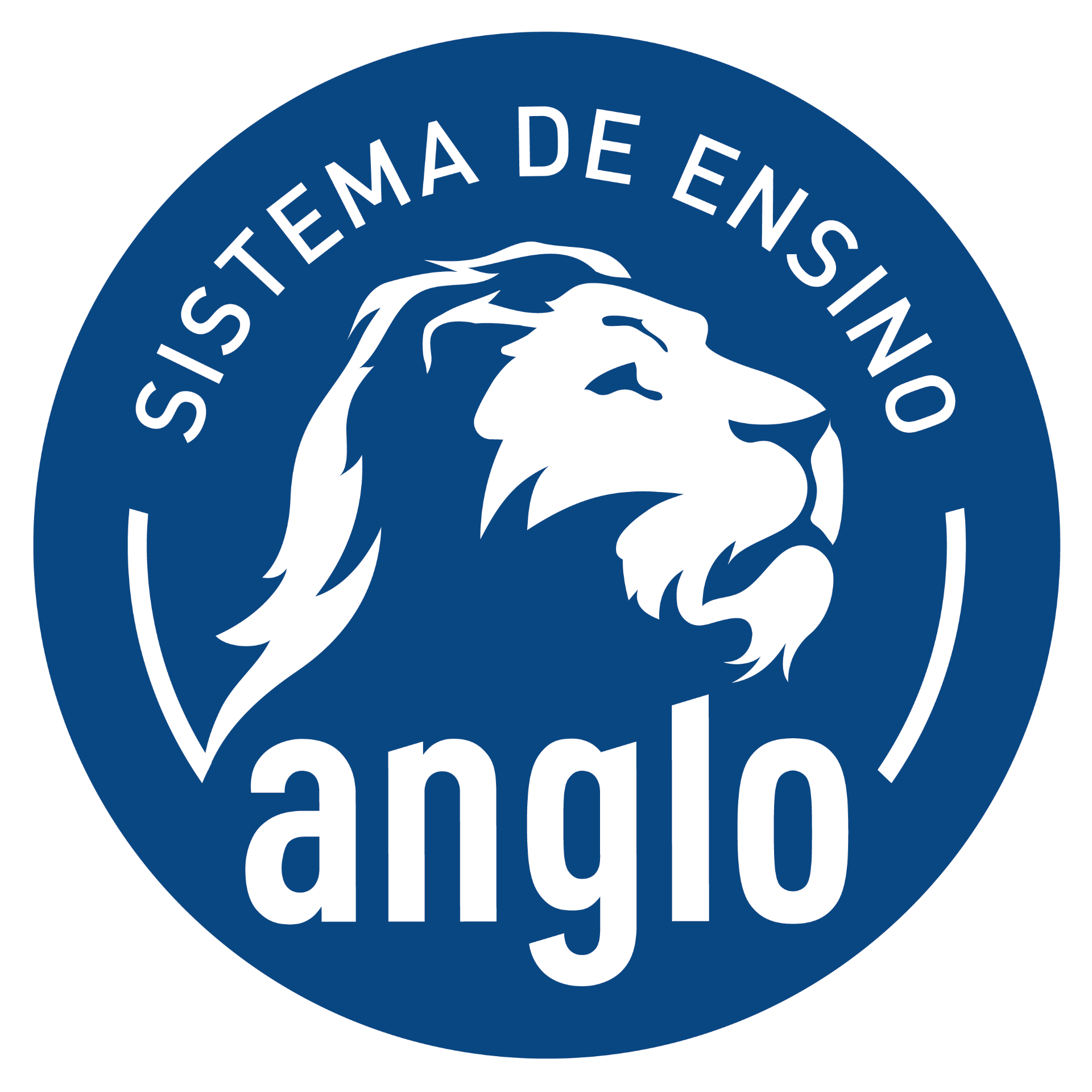 sistema-anglo-E7iBr03r